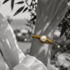 Black and white portrait of a round pearl bracelet on gold macramé cord in an olive grove — JLL Pearl